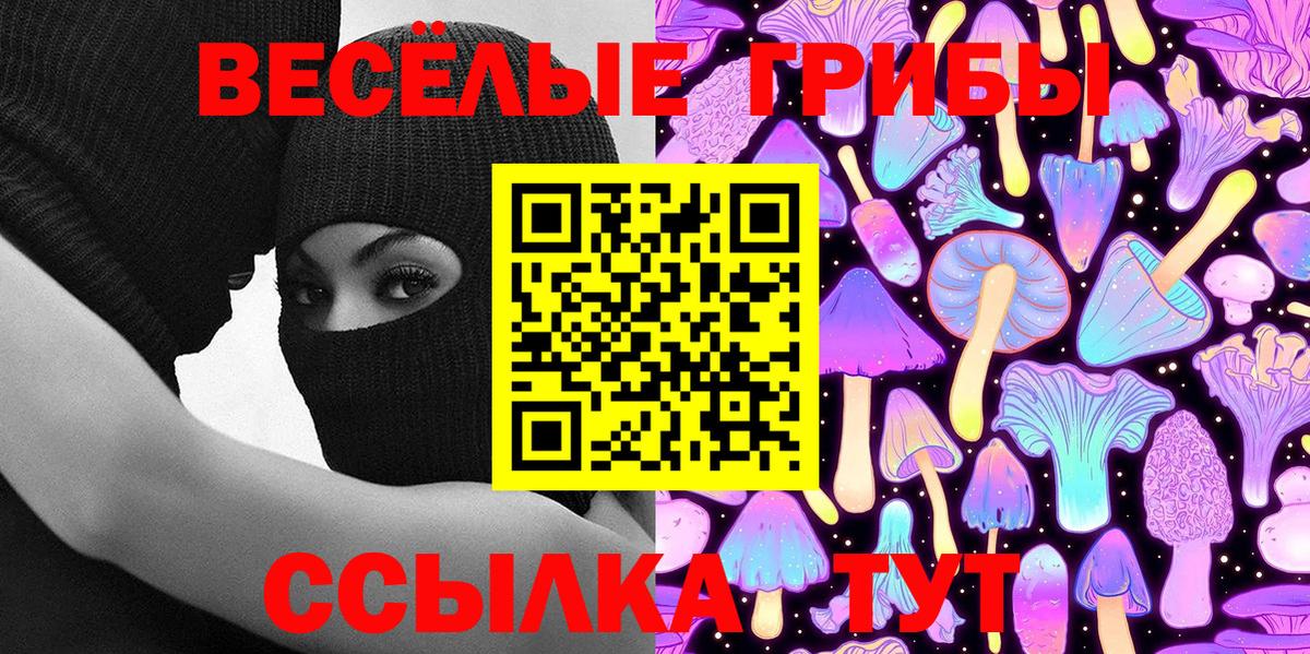 купить наркоту  Галлюциногенные грибы ЛСД  Вход с VPN  Галлюциногенные грибы ЛСД  Камышлов 